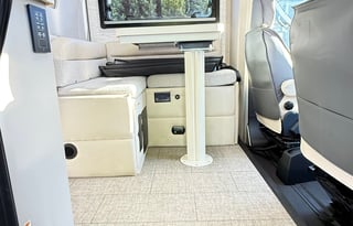 The Wandering Condor