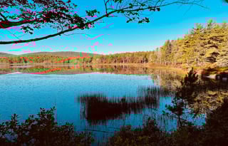 2017 Thor Motor Coach Four Winds 24C