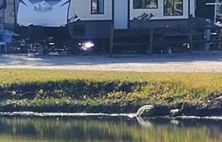 2025 Forest River RV Campsite Reserve 25MW