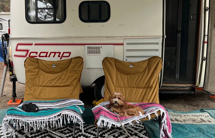 Dog not included