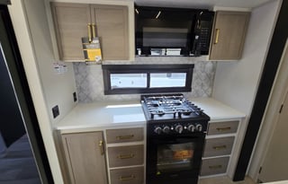 2025 Luxury New Forest River Salem Hemisphere