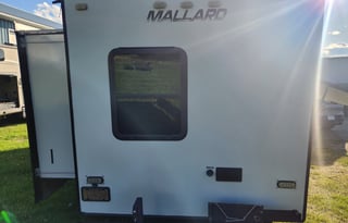 Take flight with the Mighty Mallard!