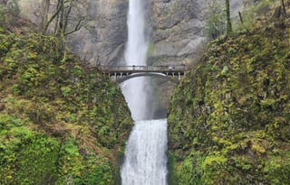 4WD All-Season "Rosie" UNLIMITED MILES + Starlink