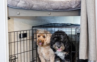 2021 Forest River Rockwood Mini Lite 2509S Bunk