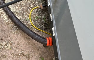 Cute & Cozy "Fully Stocked" Jay  Flight