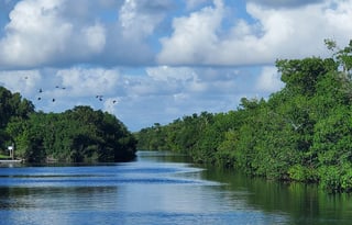 Thor Motor Coach Four Winds 24 Ft.- EARLY PICK UP