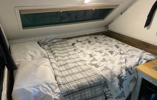 Stacey’s Safe Haven