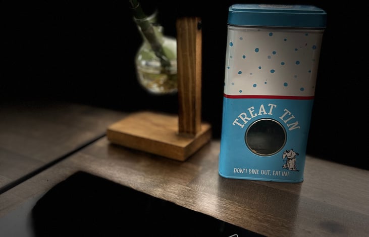 Embark on a Pawsome Adventure! Where wagging tails and wanderlust unite. We warmly welcome four-legged explorers on board our pet-friendly van rentals.  Pet Packages available!