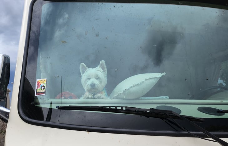 our little helper in the cab
