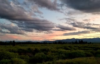 4WD All-Season "Judy" UNLIMITED MILES + Starlink