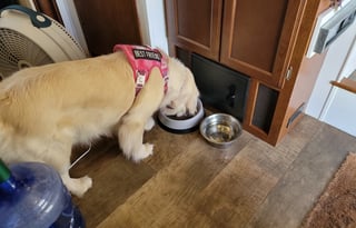 2017 KZ Durango 1500 D281RLT