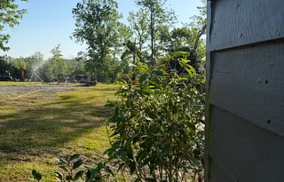 A class "glamping” on Lake Tuscaloosa
