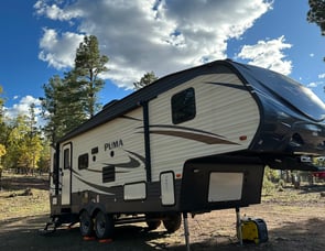 Palomino Puma 253-FBS