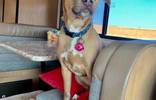 Angie and Eddie's THOR 4 WINDS Class C