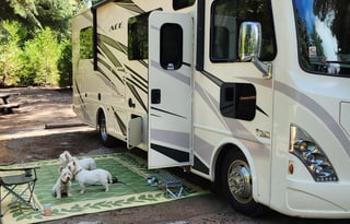 See the United States in The "Yorkshire Belle"