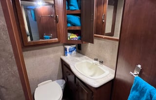 2017 Forest River RV Sunseeker 3100SS Ford