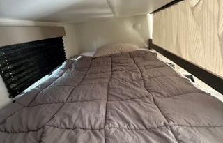 2025 Brand New  - Pet Friendly - Delivery Only