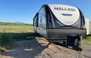 2020 Heartland Mallard 301