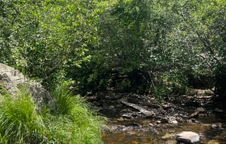 2022 Coachmen- Lightweight, Quick Set Up & Stocked