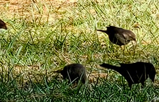 New 2025 RV Stationary. Rural area.