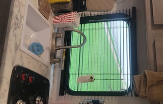 Family-friendly 2024 Coleman