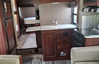2017 Forest River RV Sunseeker 3170DS Ford