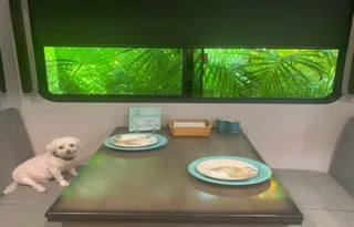 Hamilton’s Hangout-Kid & Pet Approved