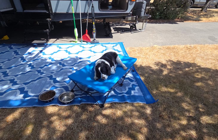 We are dog friendly and we supply dog bowls, cot and dog bed and designated towels.