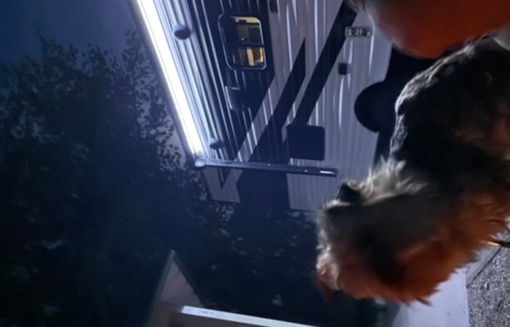 The fur babies enjoy it too!