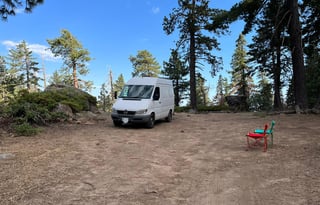 Odie The HighRoof Sprinter