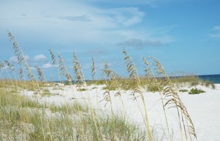 2021 Coleman 17 B Lantern Series (Pearl)