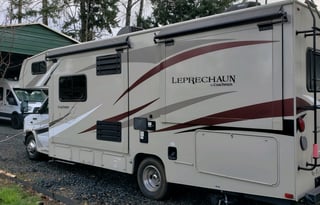 Easy Going Leprechaun