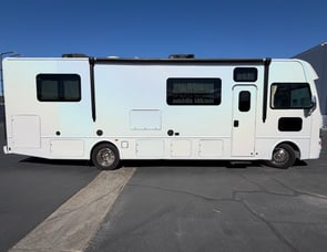 Thor Motor Coach ACE 30.4