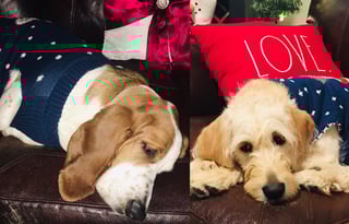 "ALANI"  is a 2017 Jayco Jay Flight