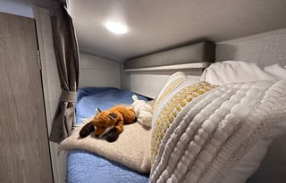 2021 Geo Pro: Ultra Light & Family Ready