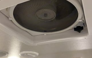 Bring the Outdoors In