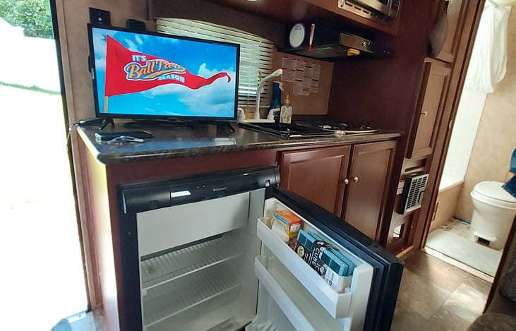 Mini Fridge and HD TV