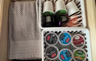 RV Trippin - "Penny" - Thor Freedom Elite