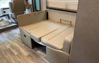 2020 Thor Motor Coach ACE 30.4 (Wander Woman)