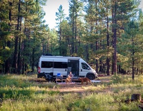 Thor Motor Coach Sequence 20L