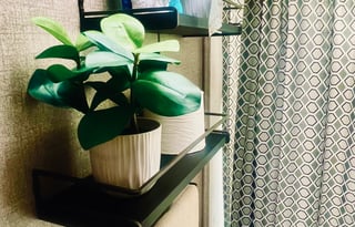 ELEGANT JAYCO FLY SLX - 2020