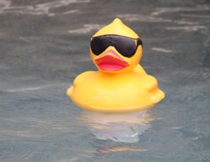 Heartland ElkRidge 32RLS