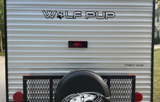 The Intrepid Grey Wolf