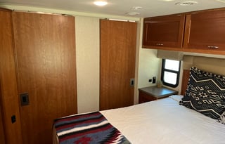 "The Dude" 2017 Winnebago - Minnie Winnie 31G