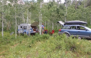 2016 Little Guy Worldwide TAG Max