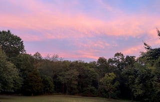 The Adventure Seeker!