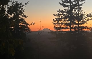 "Bunny," is a 2020 Thor Motor Coach, SUPER CLEAN!!