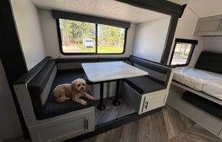 Fern the Forest River the Double Bunkhouse Camper