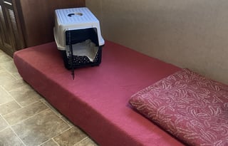 Mikren - Designed with  Your Pets in Mind!