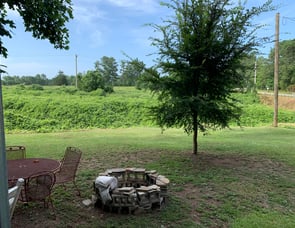 Palomino Puma Unleashed 381FTB